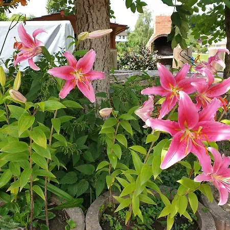 Camping Hirsch *