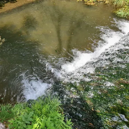 Camping Hirsch Campsite *