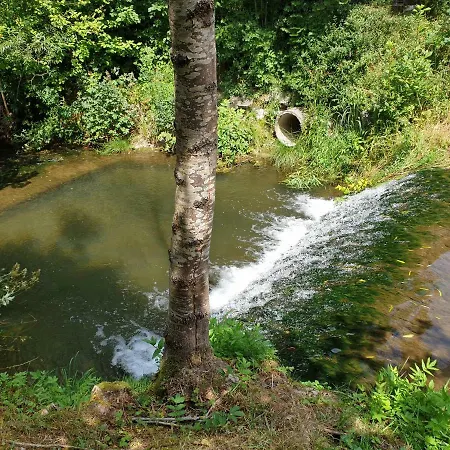 Camping Hirsch Fluorn-Winzeln
